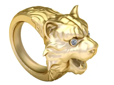 Matching Ring   Earring Set 3D print model