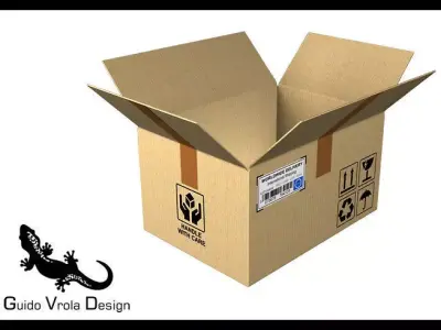 Open Cardboard box 3D model