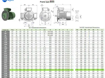 315S B35 Right 2 Pole IEC electric motor - 3D CAD model 3D model
