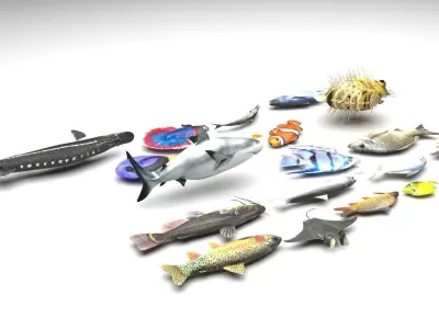Fishes Set 3D model buy