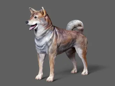 Shiba Inu 3D model