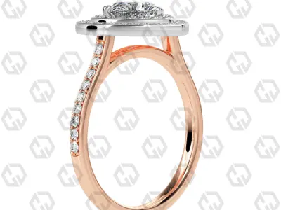 Ring 204 Heart Shape Cathedral Double Halo pave set with Gems 3D print model
