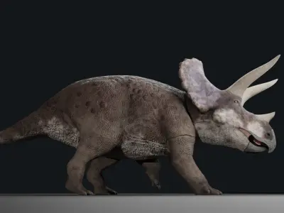 Triceratops - Rig 3D model