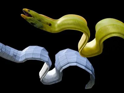 Animated Moray Eel Low-poly 3D model