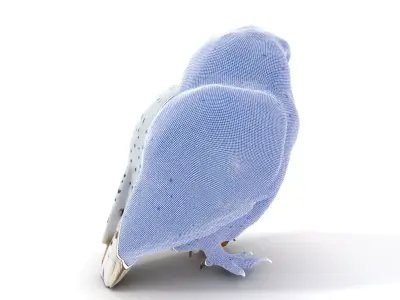 Majestic Snowy Owl model pack Low-poly 3D model