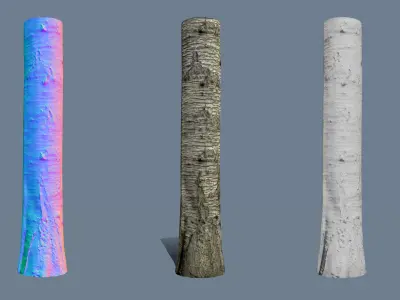 Sweet cherry bark PBR tiled textures 8K 3D model