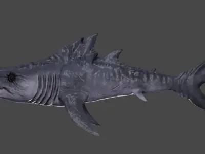 Shark game ready Low-poly 3D model