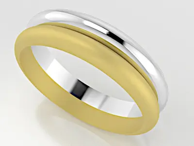3 Rings in one  3D model