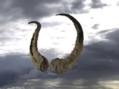 Dragon Horns 3D 3D model