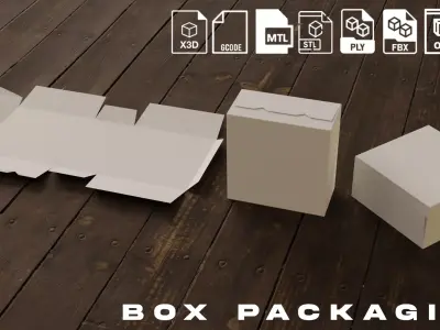 Box Packaging Low-poly 3D model purchase