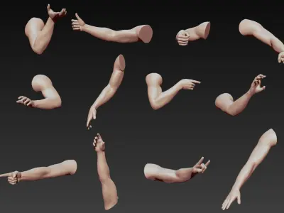 12 Male Arms 3D model purchase