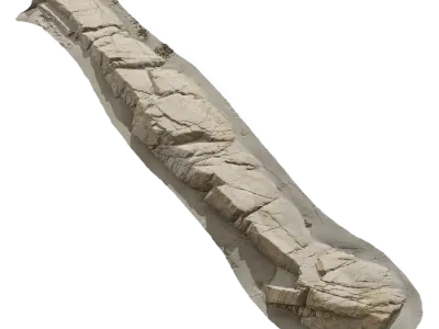  Large Long Beach Rock Model 