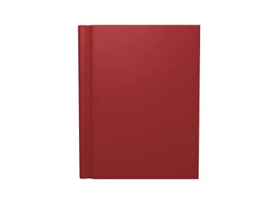 Book Cartoon 3D model