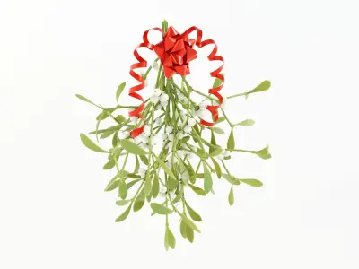 Mistletoe Bunch 3D model