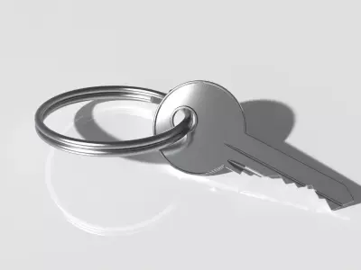 Simple Key - Fraisa 3D model
