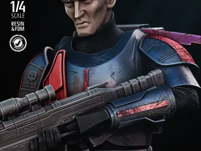 STAR WARS Crosshair Bust Tested for 3D Printing 3D print model