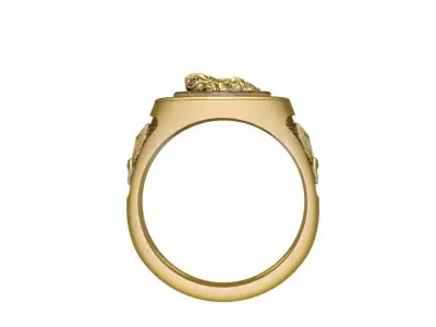 Lion and Eagle Ring  Free 3D print model purchase