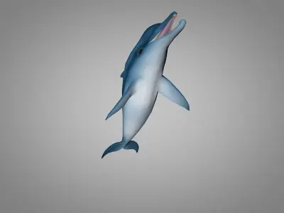 Dolphin Low-poly 3D model order