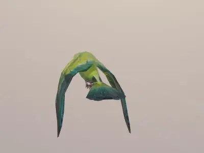 well modeled lowpoly Parrot Low-poly 3D model