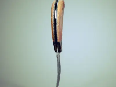 Old Curved Knife 3D model