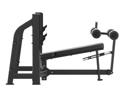  E-7041 Olympic Decline Bench 3D model