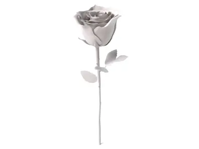  Rose 2 