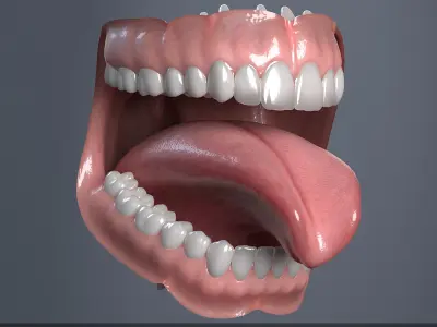  Human Mouth 
