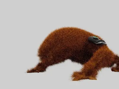 WILDMUTT 3D model