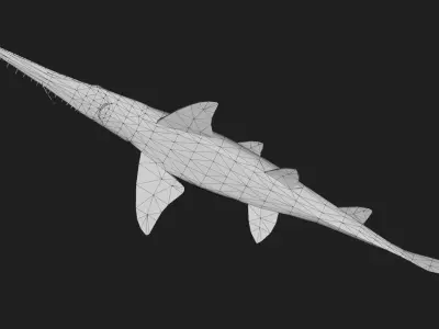Shark Low-poly 3D model 41
