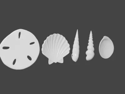 Seashells  3D model