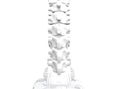 Bionic Spine Headphone Stand Sci-Fi Desk Organizer 3D print model