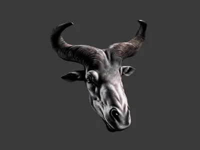 Deer Animal Head Low-poly 3D model 12