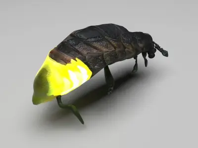 Glow Worm 3D model