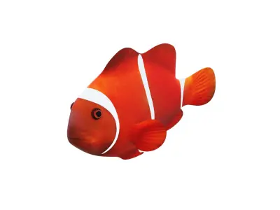 Low-Poly Clown Fish Animated  Low-poly 3D model