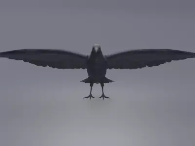 AmericanCrow Low-poly 3D model