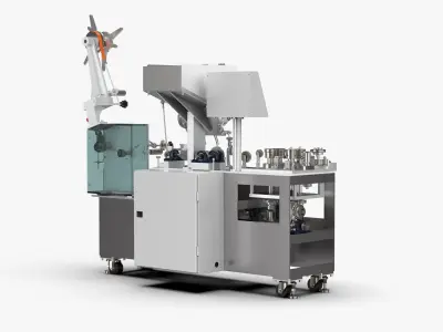 Chopsticks Straw Packing Machine 3D model