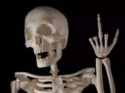skeletons skeleton making hand gesture 3D model