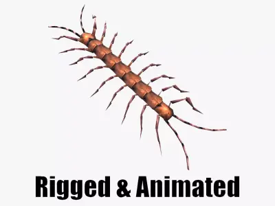 low-poly animated centipede Low-poly 3D model
