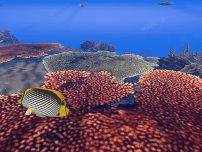 Coral Fish Pack 3D model