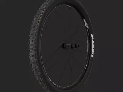 Mtb Wheel Free 3D model
