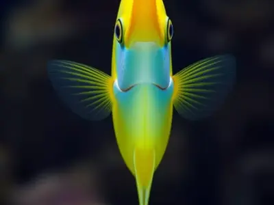 Vibrant Yellow Fish Brightly Colored Marine Blue Spots Long Fins Low-poly 3D model