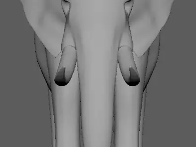 Elephant model 3D Low-poly 3D model