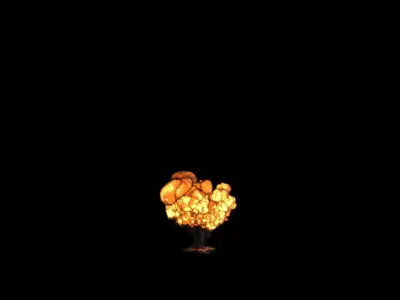 Simple Explosion 3D model