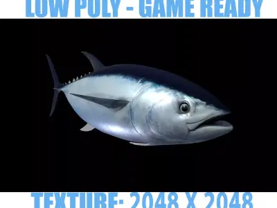 Tuna fish Low-poly 3D model 3