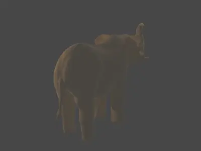 ELEPHANT  MODEL 3D 3D model