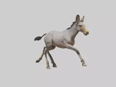 Indian Wild Ass running model Low-poly 3D model