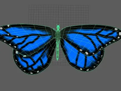 Butterfly 3D model order