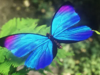 Blue Morpho Butterfly Low-poly 3D model buy