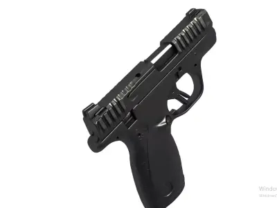 smith Wesson -  BODYGUARD 2 0  3D print model