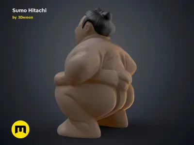 Sumo Hitachi - 3D print model  3D print model